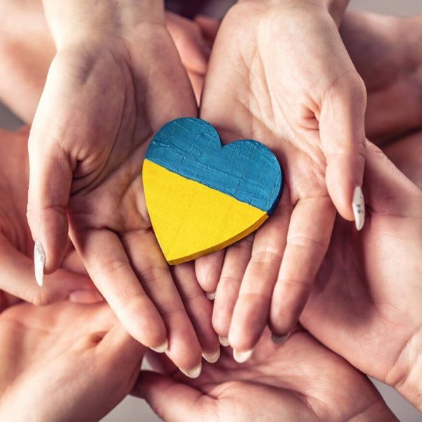 non profit volunteer organization